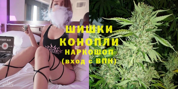ГАЛЛЮЦИНОГЕННЫЕ ГРИБЫ Осташков