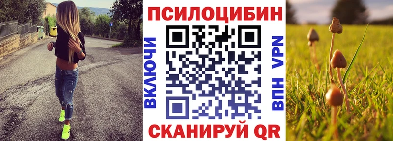 купить   Алупка  Псилоцибиновые грибы GOLDEN TEACHER 